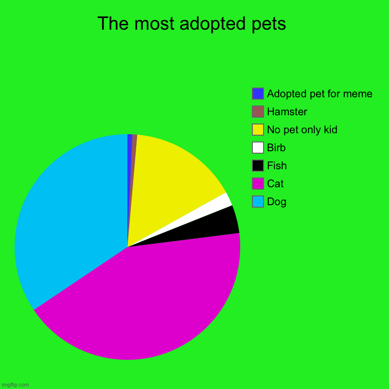 The most adopted pets | Dog, Cat, Fish, Birb, No pet only kid, Hamster, Adopted pet for meme | image tagged in charts,pie charts | made w/ Imgflip chart maker