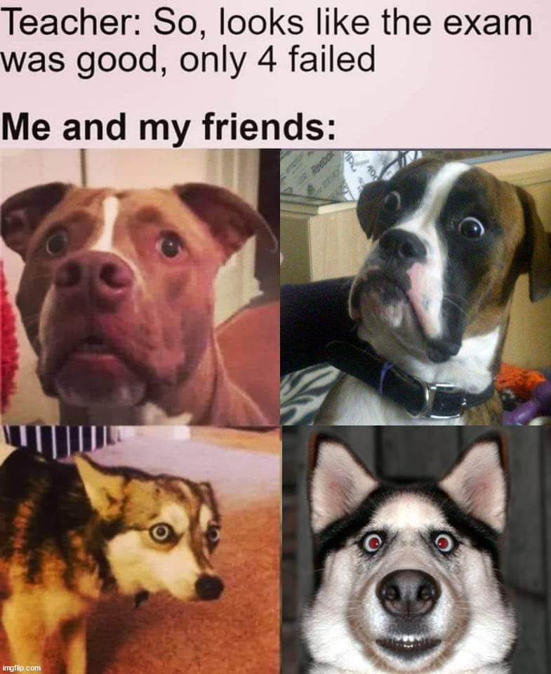 image tagged in middle school | made w/ Imgflip meme maker
