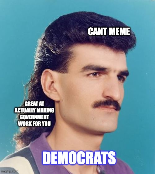 Ain't no party like a bureaucratic party | CANT MEME; GREAT AT ACTUALLY MAKING GOVERNMENT WORK FOR YOU; DEMOCRATS | image tagged in mullet | made w/ Imgflip meme maker