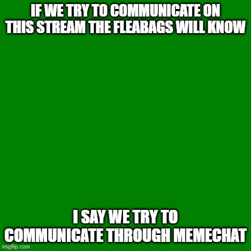 Green avocado | IF WE TRY TO COMMUNICATE ON THIS STREAM THE FLEABAGS WILL KNOW; I SAY WE TRY TO COMMUNICATE THROUGH MEMECHAT | image tagged in blank green template,avocado | made w/ Imgflip meme maker