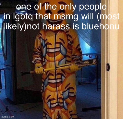 one of the only people in lgbtq that msmg will (most likely)not harass is bluehonu | made w/ Imgflip meme maker