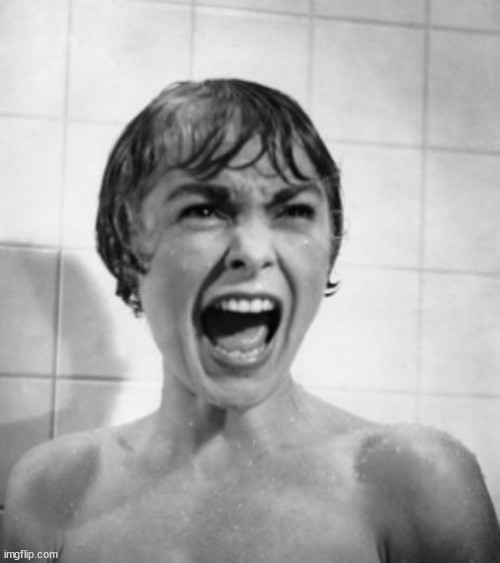 Janet Leigh in Psycho | image tagged in janet leigh in psycho | made w/ Imgflip meme maker