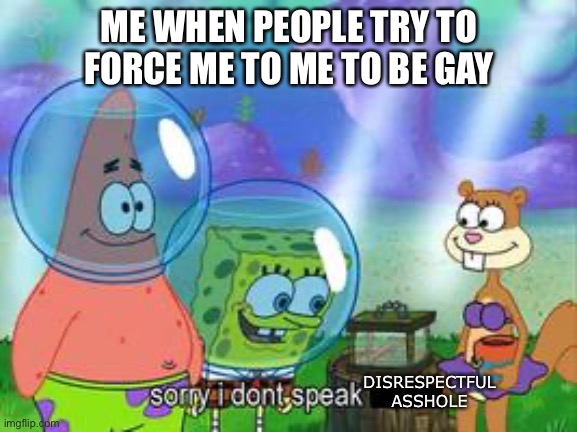 Sorry I don't speak ____ | ME WHEN PEOPLE TRY TO FORCE ME TO ME TO BE GAY; DISRESPECTFUL ASSHOLE | image tagged in sorry i don't speak ____ | made w/ Imgflip meme maker