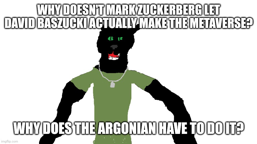 My panther fursona | WHY DOESN'T MARK ZUCKERBERG LET DAVID BASZUCKI ACTUALLY MAKE THE METAVERSE? WHY DOES THE ARGONIAN HAVE TO DO IT? | image tagged in my panther fursona | made w/ Imgflip meme maker