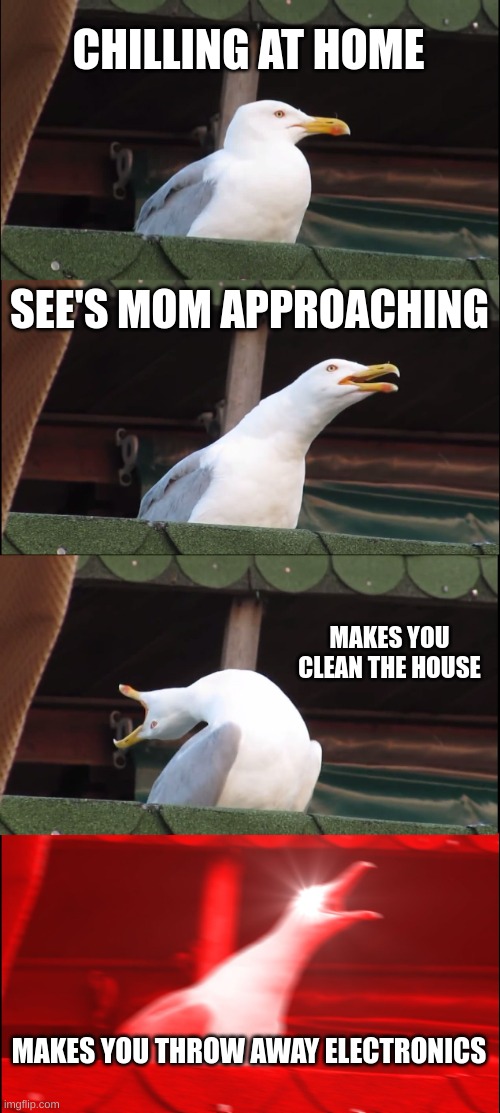 When your at home chilling | CHILLING AT HOME; SEE'S MOM APPROACHING; MAKES YOU CLEAN THE HOUSE; MAKES YOU THROW AWAY ELECTRONICS | image tagged in memes,inhaling seagull | made w/ Imgflip meme maker