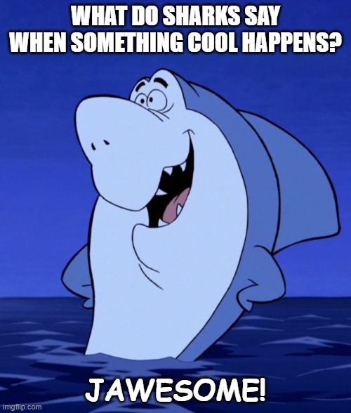 Daily Bad Dad Joke September 30 2022 | WHAT DO SHARKS SAY WHEN SOMETHING COOL HAPPENS? JAWESOME! | image tagged in shark | made w/ Imgflip meme maker