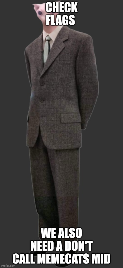 Bingus in suit | CHECK FLAGS; WE ALSO NEED A DON'T CALL MEMECATS MID | image tagged in bingus in suit | made w/ Imgflip meme maker