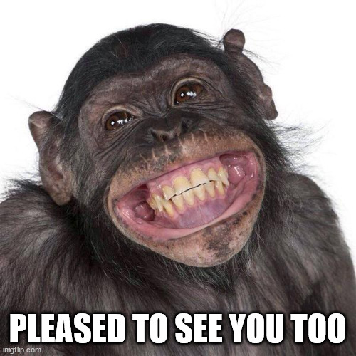 Happy Monkey NOW | PLEASED TO SEE YOU TOO | image tagged in happy monkey now | made w/ Imgflip meme maker