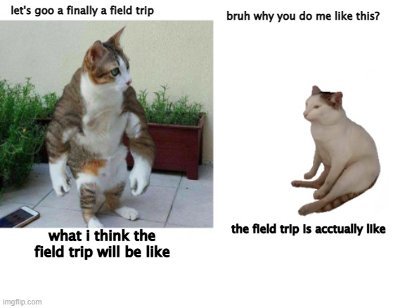 Buff cat vs. catcheems | bruh why you do me like this? let's goo a finally a field trip; the field trip is acctually like; what i think the field trip will be like | image tagged in buff cat vs catcheems | made w/ Imgflip meme maker