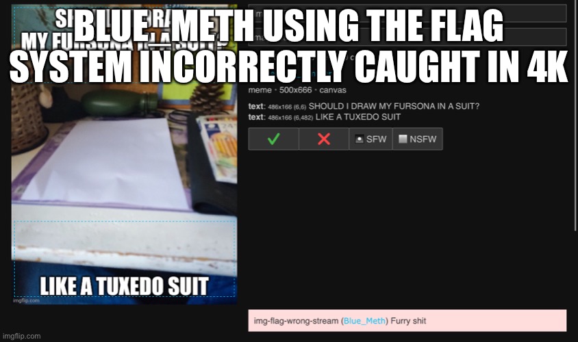 Don’t give him mod perms, its pretty clear he’ll abuse it | BLUE_METH USING THE FLAG SYSTEM INCORRECTLY CAUGHT IN 4K | made w/ Imgflip meme maker