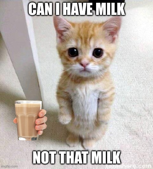 choky milk | CAN I HAVE MILK; NOT THAT MILK | image tagged in memes,cute cat | made w/ Imgflip meme maker