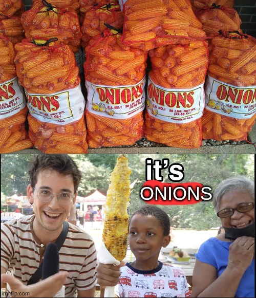 Onions | ONIONS | image tagged in lol,funny,memes,funny memes,you had one job,you had one job just the one | made w/ Imgflip meme maker