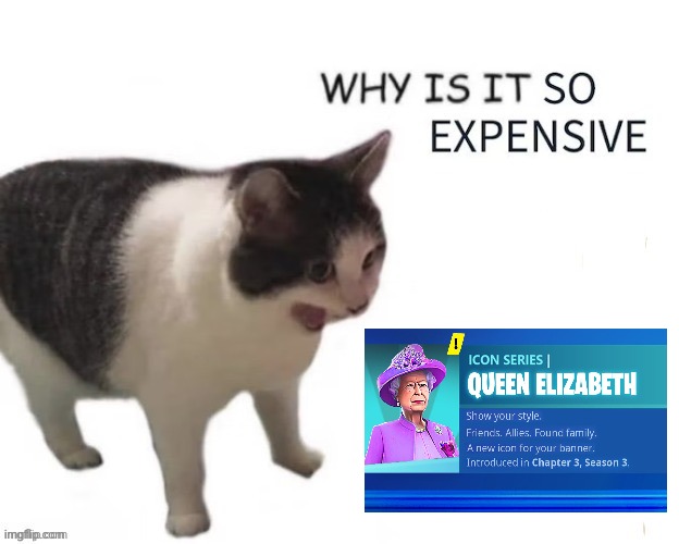 WHY IS IT SO EXPENSIVE | image tagged in why is it so expensive | made w/ Imgflip meme maker