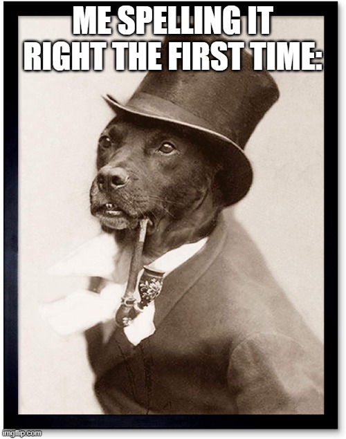 Fancy dog | ME SPELLING IT RIGHT THE FIRST TIME: | image tagged in fancy dog | made w/ Imgflip meme maker