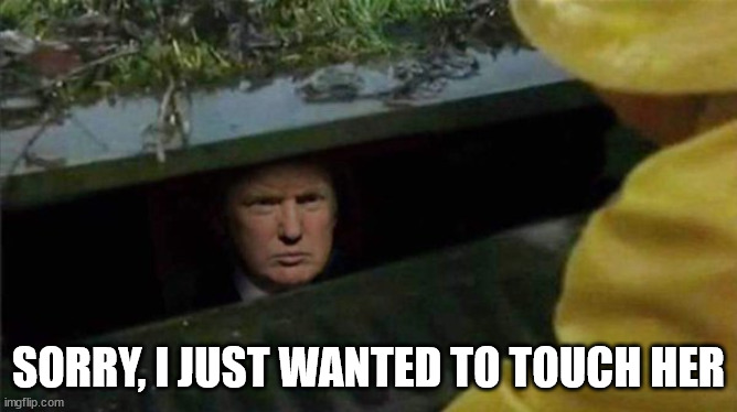 Trump Pennywise | SORRY, I JUST WANTED TO TOUCH HER | image tagged in trump pennywise | made w/ Imgflip meme maker
