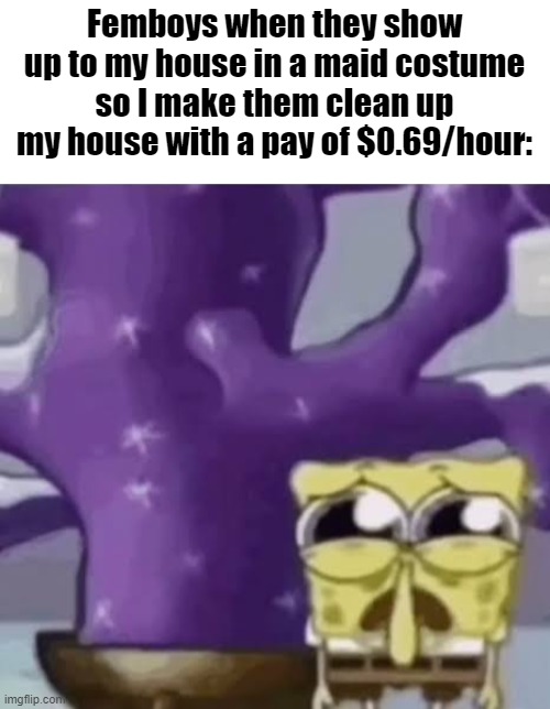 L | Femboys when they show up to my house in a maid costume so I make them clean up my house with a pay of $0.69/hour: | made w/ Imgflip meme maker