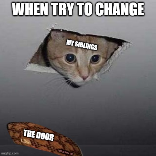 are all siblings like this? | WHEN TRY TO CHANGE; MY SIBLINGS; THE DOOR; TOTALLY NOT A CAP | image tagged in memes,ceiling cat,siblings | made w/ Imgflip meme maker