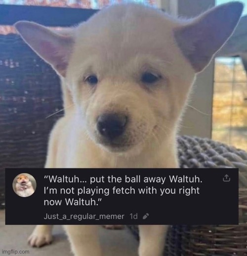 made w/ Imgflip meme maker