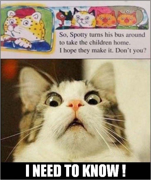 Always End On A Cliffhanger ! | I NEED TO KNOW ! | image tagged in cats,bus driver,cliffhanger | made w/ Imgflip meme maker