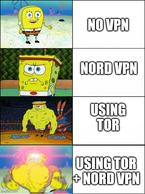 levels of internet security |  NO VPN; NORD VPN; USING TOR; USING TOR + NORD VPN | image tagged in sponge finna commit muder,internet | made w/ Imgflip meme maker