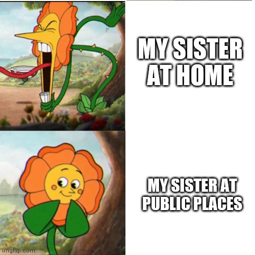 Memes By Amaan | MY SISTER AT HOME; MY SISTER AT PUBLIC PLACES | image tagged in cuphead flower,funny memes,memes,funny,fun,trending | made w/ Imgflip meme maker