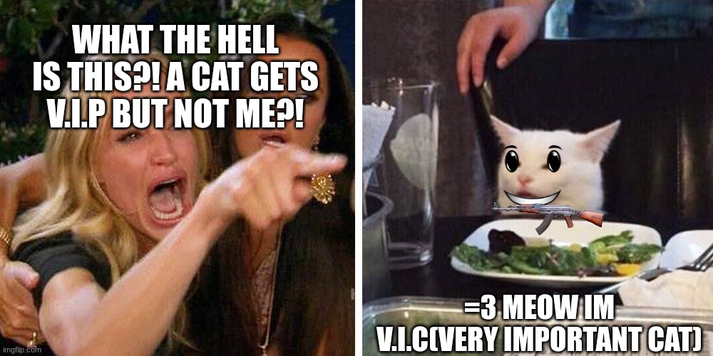 CAT VIP | WHAT THE HELL IS THIS?! A CAT GETS V.I.P BUT NOT ME?! =3 MEOW IM V.I.C(VERY IMPORTANT CAT) | image tagged in smudge the cat | made w/ Imgflip meme maker