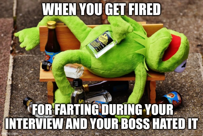 kermit gets fired for farting | WHEN YOU GET FIRED; FOR FARTING DURING YOUR INTERVIEW AND YOUR BOSS HATED IT | image tagged in funny meme | made w/ Imgflip meme maker