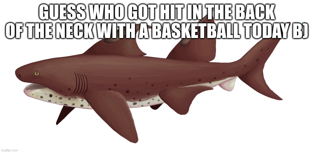 Dracopristis | GUESS WHO GOT HIT IN THE BACK OF THE NECK WITH A BASKETBALL TODAY B) | image tagged in dracopristis | made w/ Imgflip meme maker