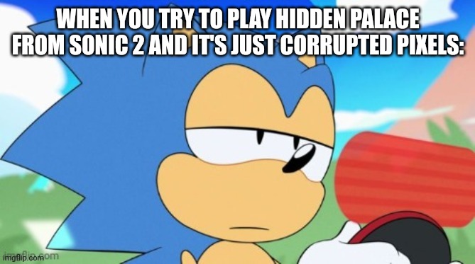 I mean the genesis version, not the mobile remake, nintendo editions, or sonic origins | WHEN YOU TRY TO PLAY HIDDEN PALACE FROM SONIC 2 AND IT'S JUST CORRUPTED PIXELS: | image tagged in sonic unamused | made w/ Imgflip meme maker