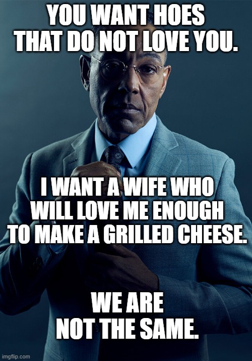 We Are Not The Same. | YOU WANT HOES THAT DO NOT LOVE YOU. I WANT A WIFE WHO WILL LOVE ME ENOUGH TO MAKE A GRILLED CHEESE. WE ARE NOT THE SAME. | image tagged in gus fring we are not the same | made w/ Imgflip meme maker
