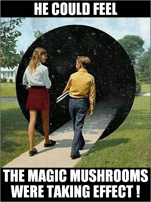 Off To A Higher Plane ! | HE COULD FEEL; THE MAGIC MUSHROOMS WERE TAKING EFFECT ! | image tagged in hallucinate,magic mushrooms,dark humour | made w/ Imgflip meme maker