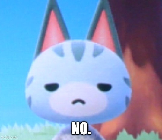 Does it look like I care? - Lolly ACNH | NO. | image tagged in does it look like i care - lolly acnh | made w/ Imgflip meme maker