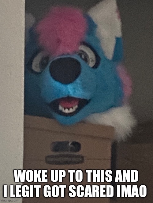 ;w; | WOKE UP TO THIS AND I LEGIT GOT SCARED IMAO | image tagged in memes,furry,fursuit,scary | made w/ Imgflip meme maker