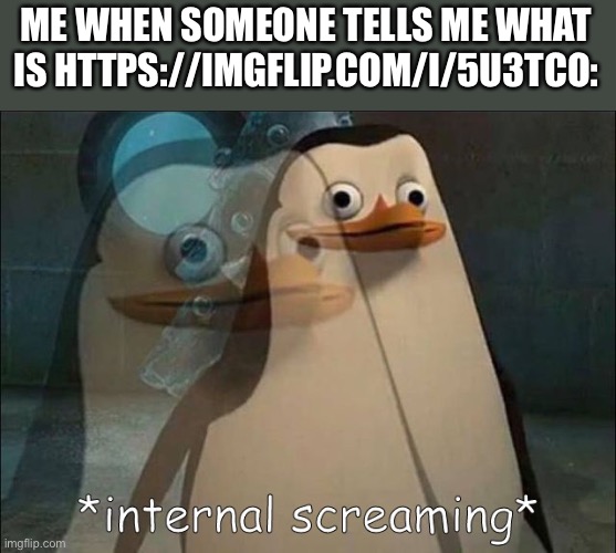 *internal screaming* | ME WHEN SOMEONE TELLS ME WHAT IS HTTPS://IMGFLIP.COM/I/5U3TCO: | image tagged in private internal screaming,memes,imgflip users,imgflip,website,what is this | made w/ Imgflip meme maker