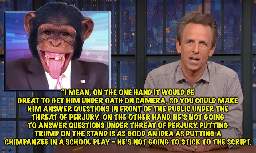 Getting Trump on the stand not such a good idea | “I MEAN, ON THE ONE HAND IT WOULD BE GREAT TO GET HIM UNDER OATH ON CAMERA, SO YOU COULD MAKE HIM ANSWER QUESTIONS IN FRONT OF THE PUBLIC UNDER THE THREAT OF PERJURY.  ON THE OTHER HAND, HE’S NOT GOING TO ANSWER QUESTIONS UNDER THREAT OF PERJURY. PUTTING TRUMP ON THE STAND IS AS GOOD AN IDEA AS PUTTING A CHIMPANZEE IN A SCHOOL PLAY – HE’S NOT GOING TO STICK TO THE SCRIPT. | image tagged in seth meyers | made w/ Imgflip meme maker