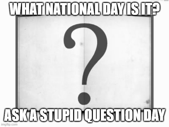 book question mark | WHAT NATIONAL DAY IS IT? ASK A STUPID QUESTION DAY | image tagged in book question mark,stupid,national day,seriously | made w/ Imgflip meme maker
