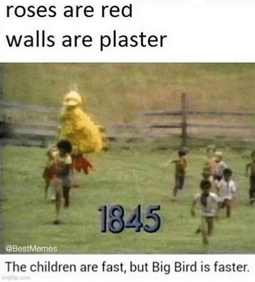 nobody oppose big bird | image tagged in memes,big bird,barney will eat all of your delectable biscuits,oh wow are you actually reading these tags | made w/ Imgflip meme maker