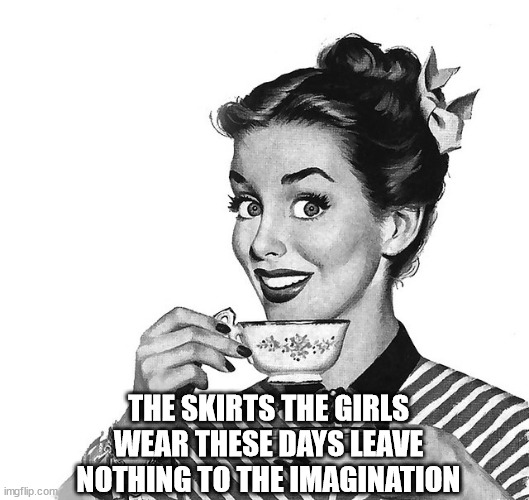 Retro woman teacup | THE SKIRTS THE GIRLS WEAR THESE DAYS LEAVE NOTHING TO THE IMAGINATION | image tagged in retro woman teacup | made w/ Imgflip meme maker