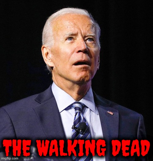 THE WALKING DEAD | THE WALKING DEAD | image tagged in joe biden,the walking dead | made w/ Imgflip meme maker