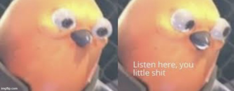 fuck tiktok | image tagged in listen here you little shit bird | made w/ Imgflip meme maker