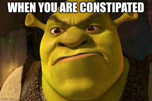 constipated | WHEN YOU ARE CONSTIPATED | image tagged in shrek you're going the right way for a smacked bottom | made w/ Imgflip meme maker