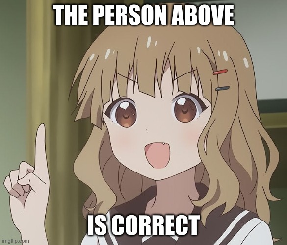 The person above me | THE PERSON ABOVE IS CORRECT | image tagged in the person above me | made w/ Imgflip meme maker