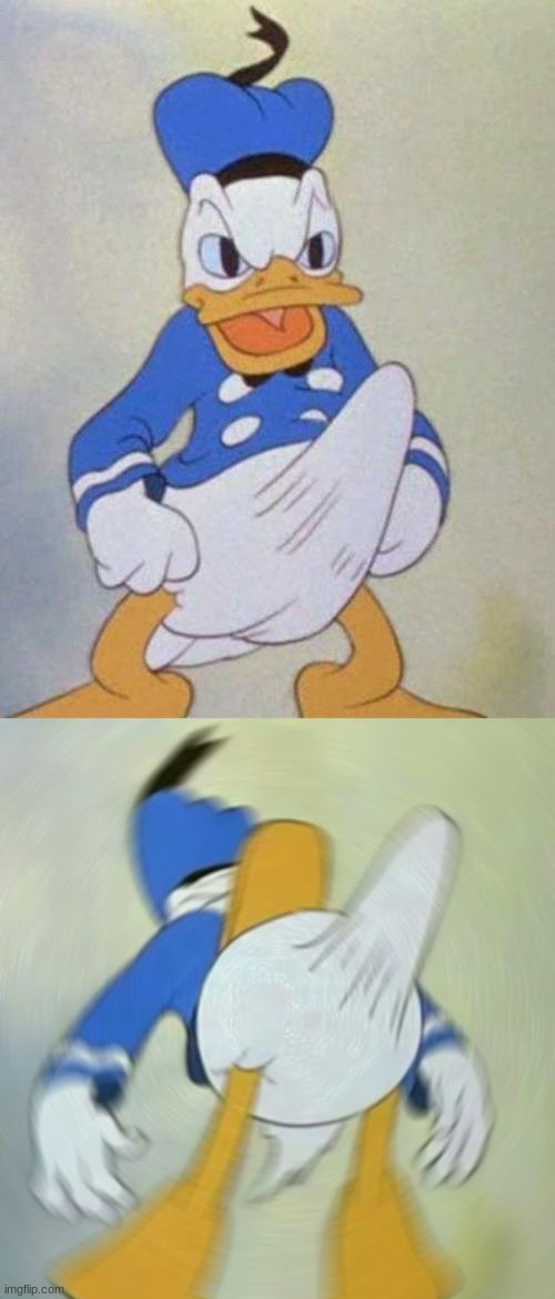 image tagged in donald duck boner | made w/ Imgflip meme maker