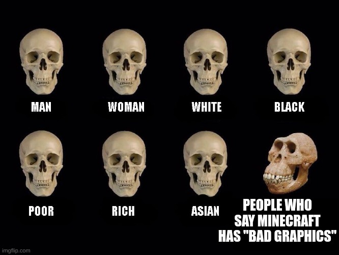 empty skulls of truth | PEOPLE WHO SAY MINECRAFT HAS "BAD GRAPHICS" | image tagged in empty skulls of truth | made w/ Imgflip meme maker