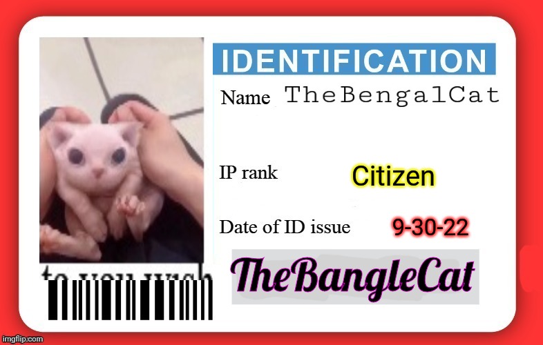 DMV ID Card | TheBangleCat Citizen 9-30-22 | image tagged in dmv id card | made w/ Imgflip meme maker