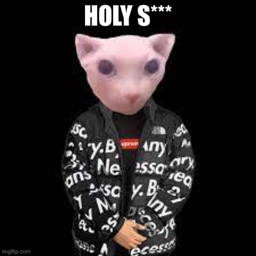 Holy | HOLY S*** | image tagged in bingus drip | made w/ Imgflip meme maker