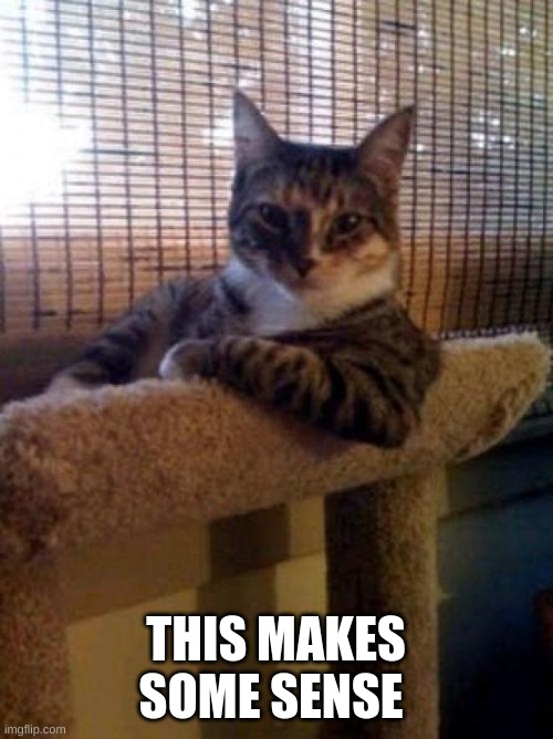 The Most Interesting Cat In The World Meme | THIS MAKES SOME SENSE | image tagged in memes,the most interesting cat in the world | made w/ Imgflip meme maker