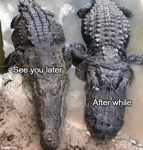 Knowing the difference may save your life...somehow | See you later; After while | made w/ Imgflip meme maker