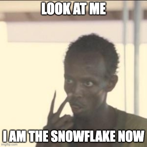 Look At Me Meme | LOOK AT ME; I AM THE SNOWFLAKE NOW | image tagged in memes,look at me,PoliticalMemes | made w/ Imgflip meme maker
