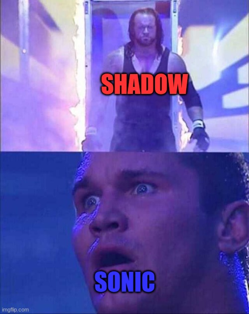 sonic meets shadow movie 3 | SHADOW; SONIC | image tagged in wwe,sonic the hedgehog,shadow the hedgehog,sonic movie,2024,memes | made w/ Imgflip meme maker